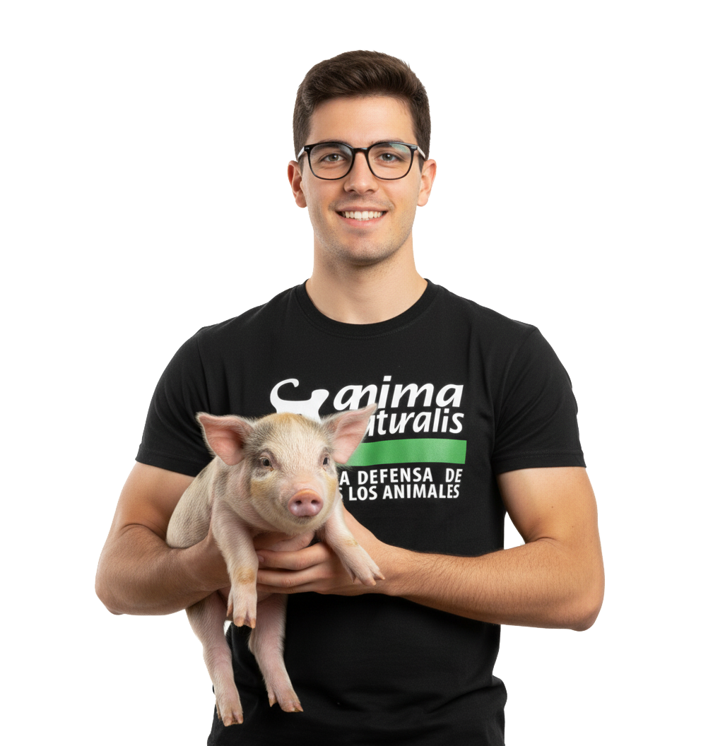 Escríbemos lo que gustes